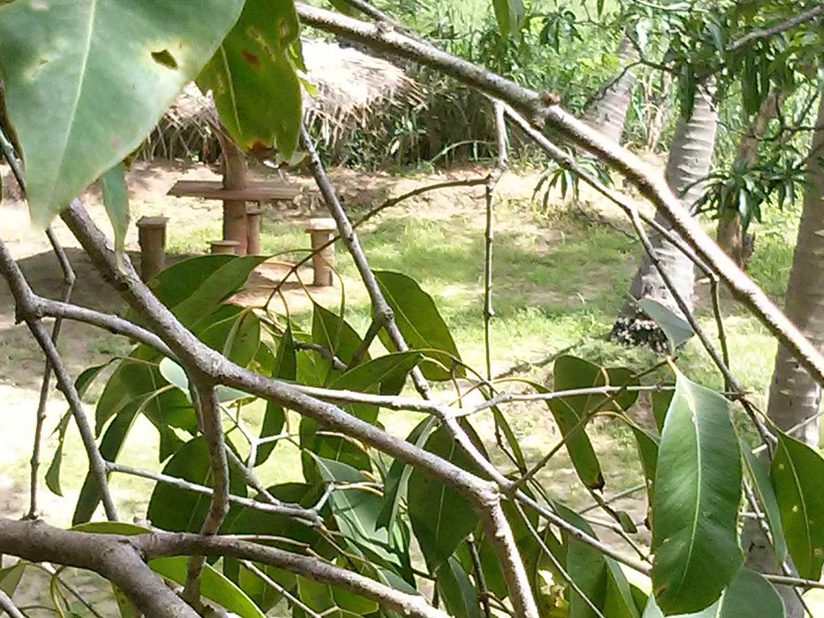 Green Earth Resort And Restaurant Dambulla Luaran gambar