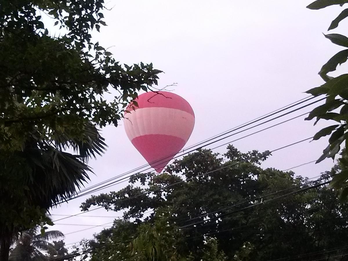 Green Earth Resort And Restaurant Dambulla Luaran gambar